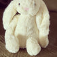 Personalised Plushie Bunny